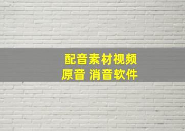 配音素材视频原音 消音软件